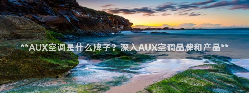 360环球国际