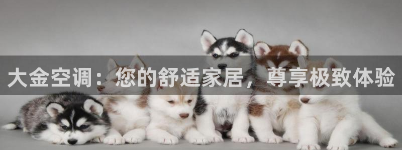环球360官网24小时