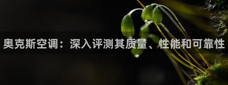 环球360全景