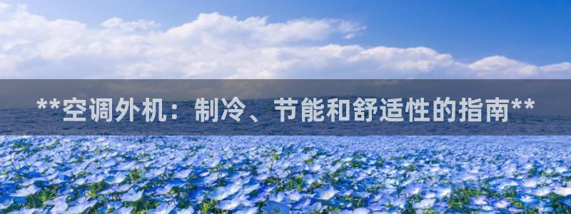 环球360官方网站首页