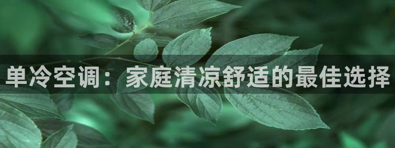 环球360合作包杀网一比一