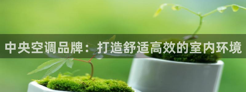 环球360官网会员多少钱