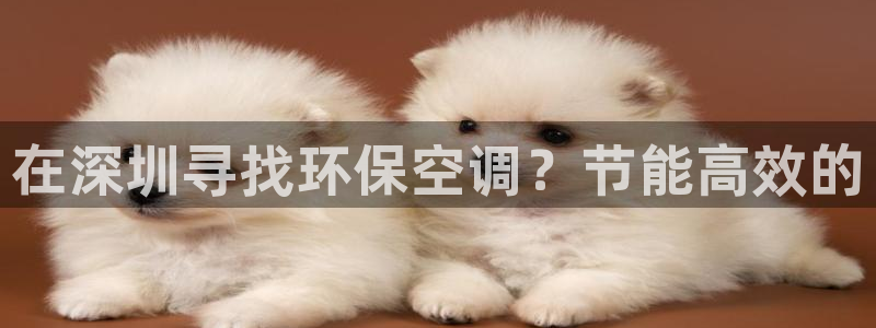 环球360网