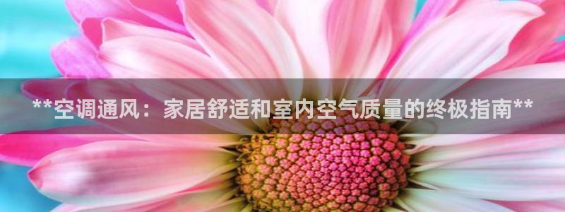 环球360正网登录
