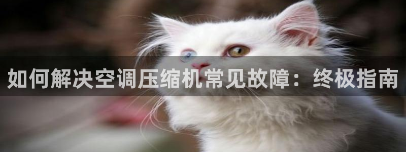 360环球管理