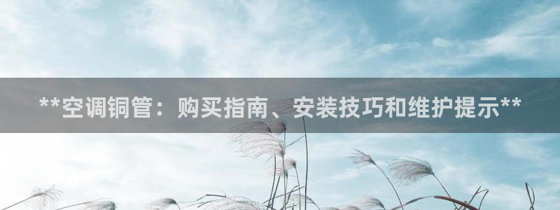 环球360正网包杀