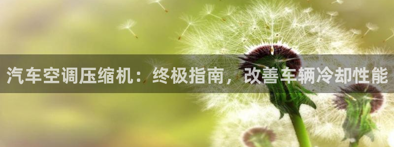 环球360网站最新app