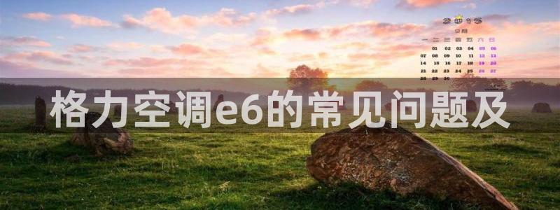 360环球国际