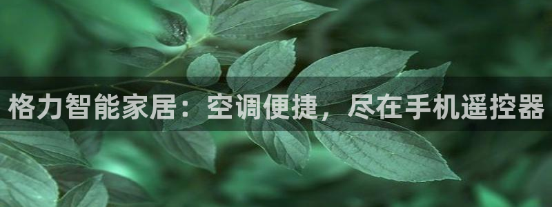 环球360分2009
